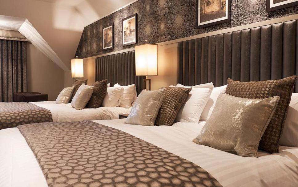 Hotel Tulip Near Delhi Airport New Delhi Ruang foto